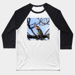 Rosella Parrot Baseball T-Shirt